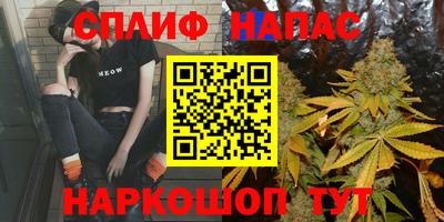 Альфа ПВП Сланцы