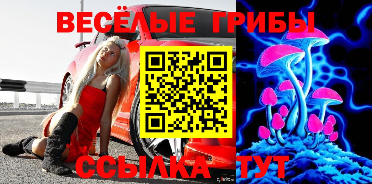 Галлюциногенные грибы мухоморы  Вход с VPN  Новошахтинск 